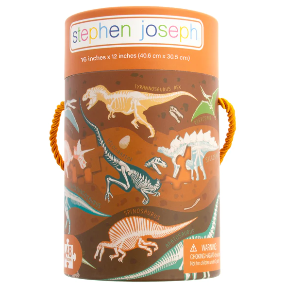 Dinosaur Fossils Canister Puzzle