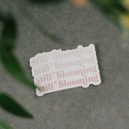 Evermore Stickers