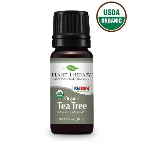 Plant Therapy Essential Oil Organic Tea Tree