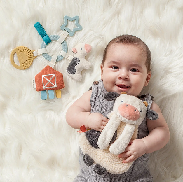 Bitzy Busy Farm Gift Set - Elegant Mommy