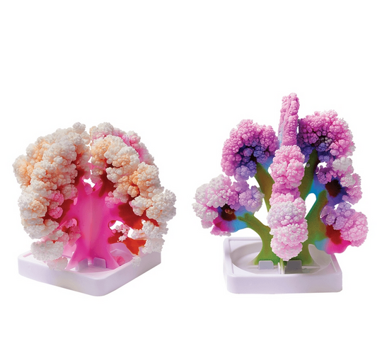*Craft Around the World: Coral Reef