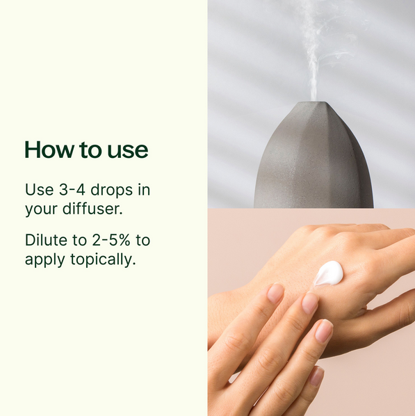 Plant Therapy Essential Oil Tea Tree