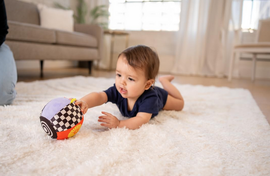 Wimmer Sensory Ball