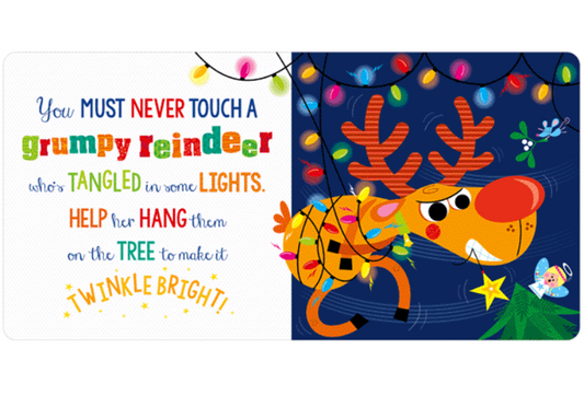 NEVER TOUCH A GRUMPY REINDEER! Book