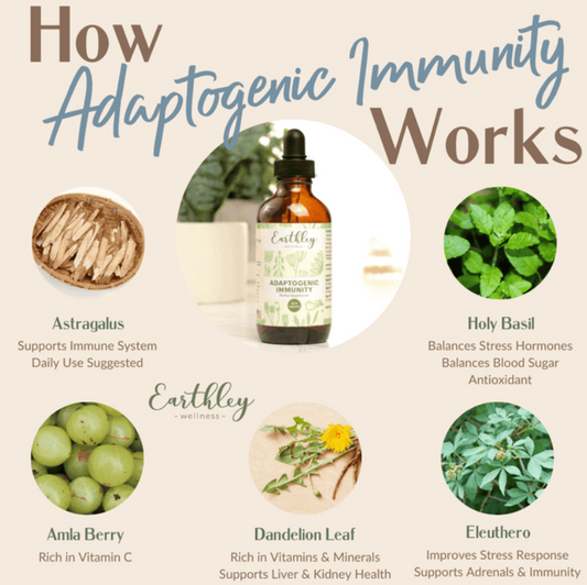 Adaptogenic Immunity | 2oz