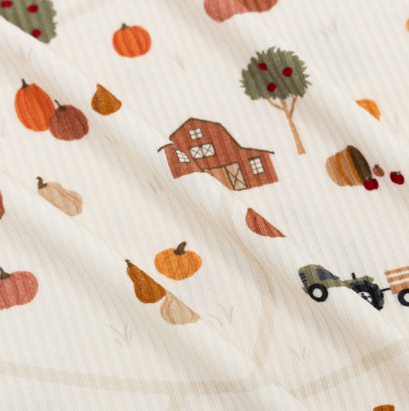 Pumpkin Patch Small Ribbed Zip Romper