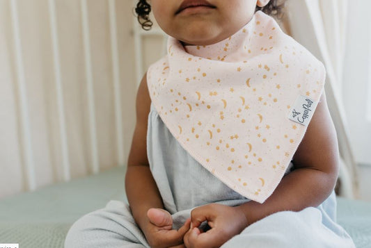 Whimsy Single Bandana Bib By Copper Pearl - Elegant Mommy