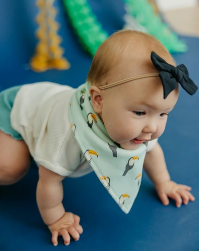 Bengal Single Bandana Bib By Copper Pearl