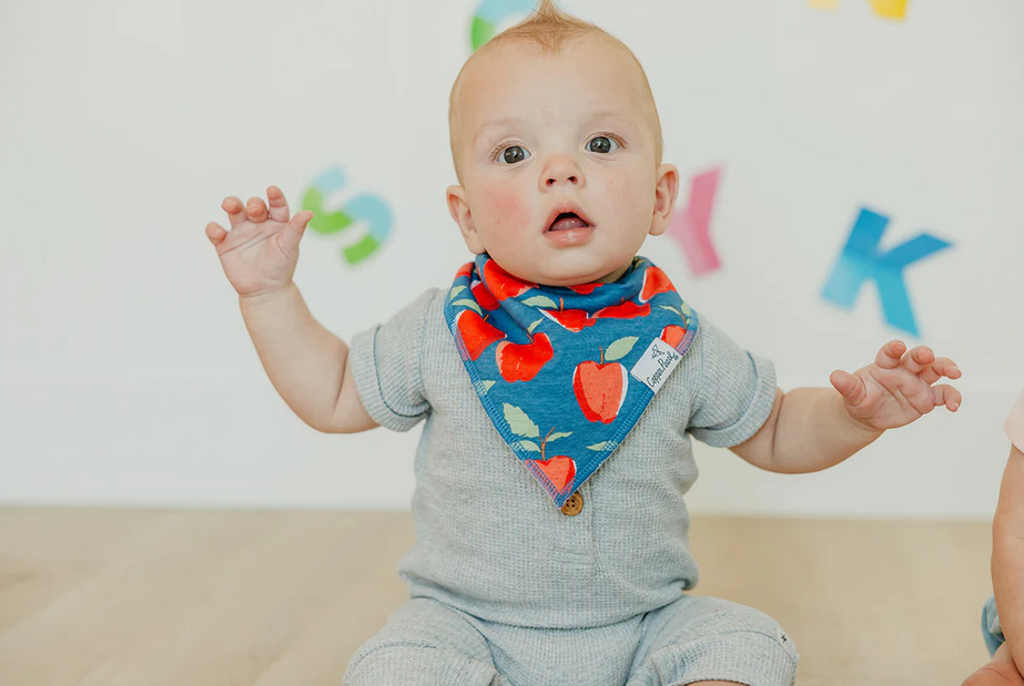 Single Bandana Bib By Copper Pearl