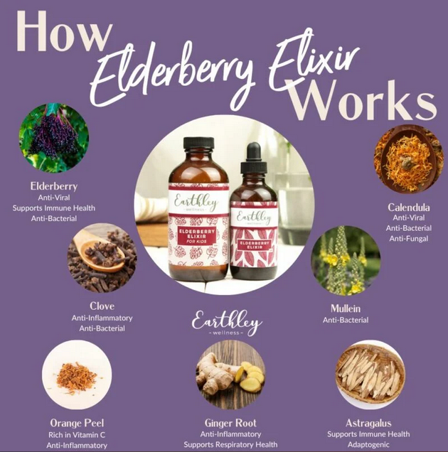 Elderberry Elixir- For Kids | 4oz