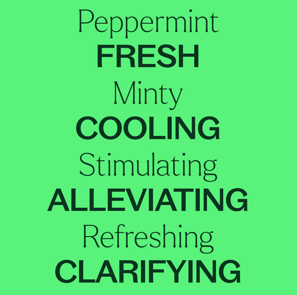 Plant Therapy Essential Oil Peppermint