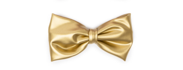 Leather Gold Bow