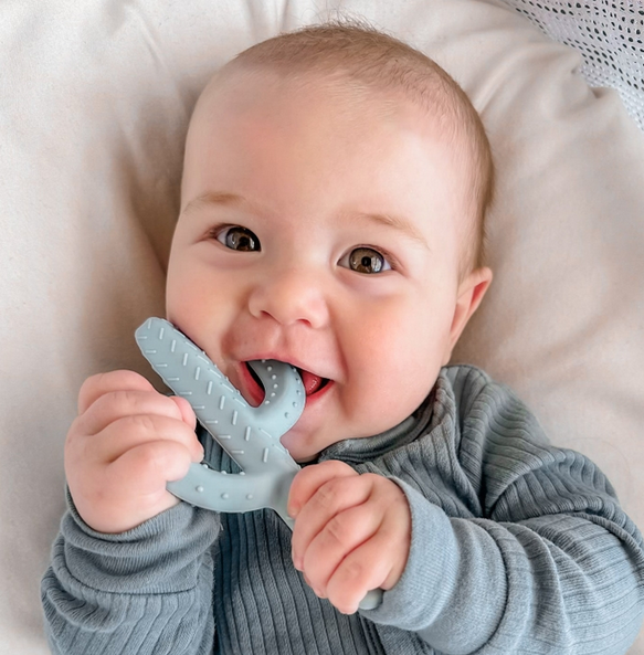 Cactus Teether Toy - Mist