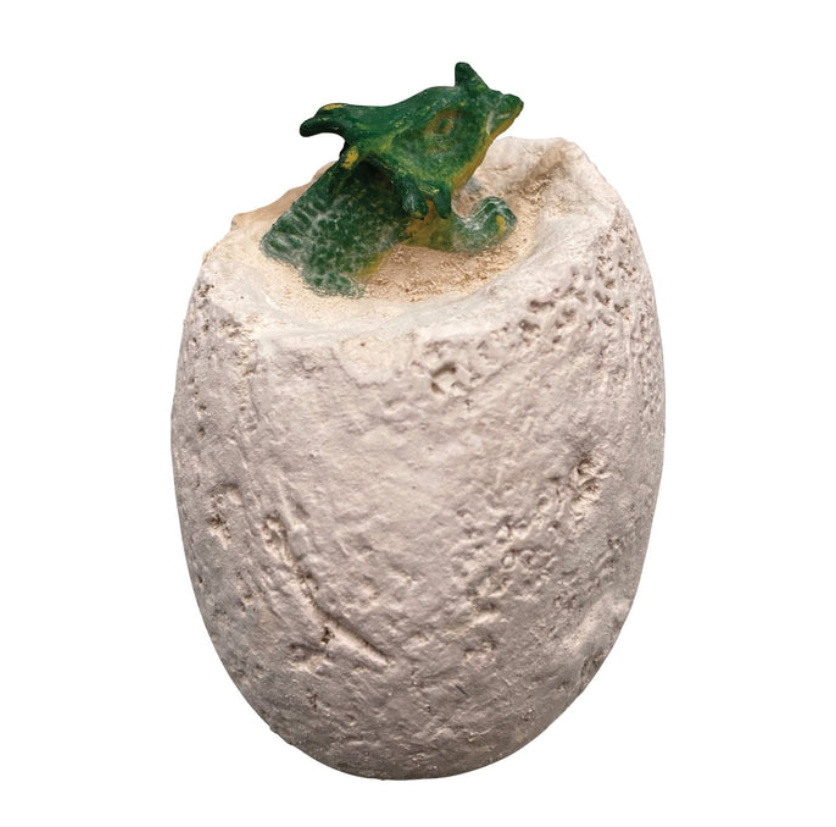 Dino Dig Excavation Kit