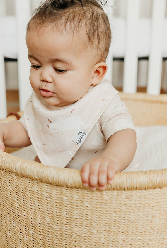 Fischer Bandana Bib Set