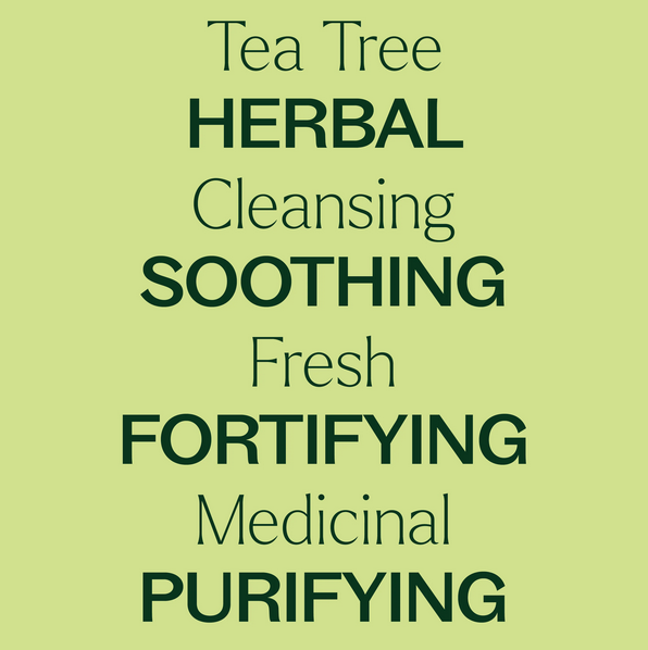 Plant Therapy Essential Oil Tea Tree