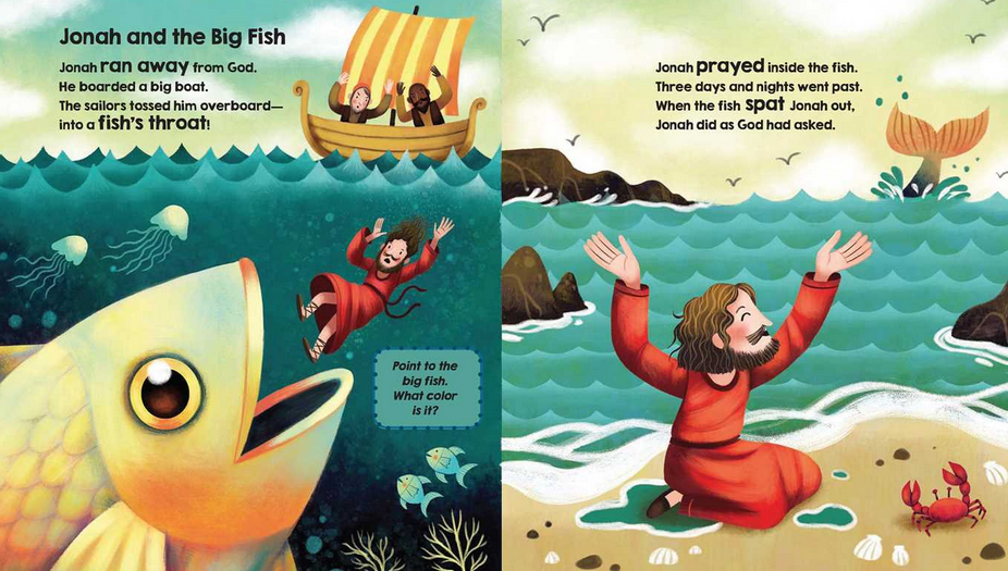 Bible Stories For Little Hands  - Board Book