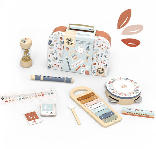 Musical Set 5 Instruments