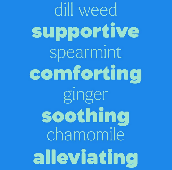 Plant Therapy Tummy All Better Roll-On 30 mL