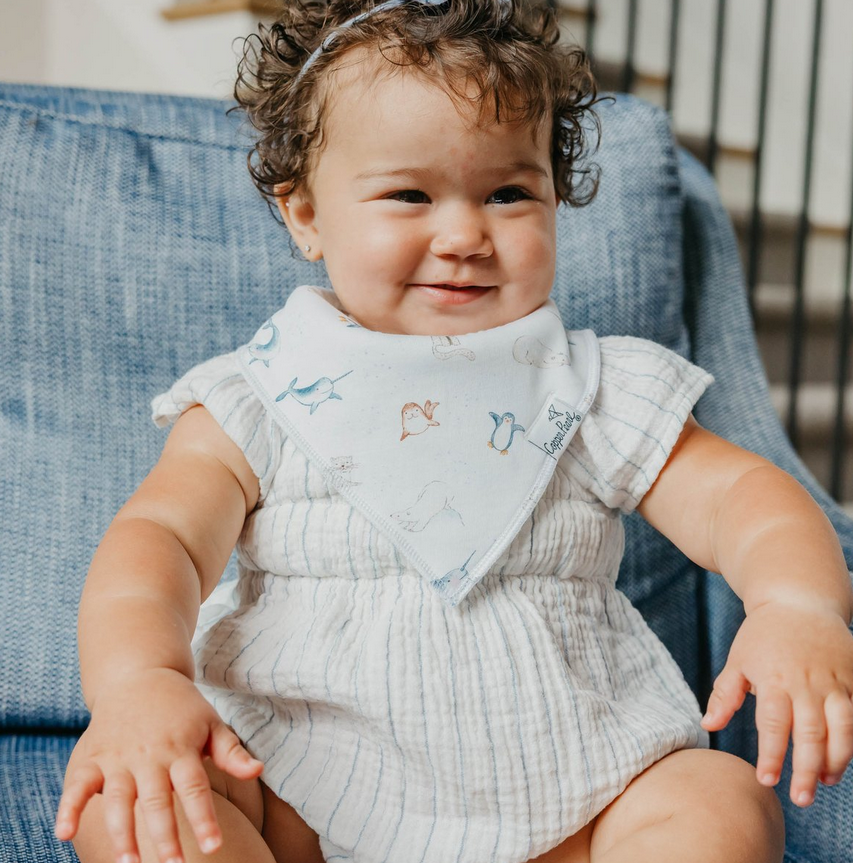 Arctic Wonder Bandana Bib Set