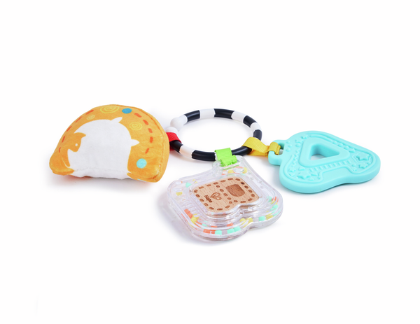 Sensory ABCs Playset - Teether, Rattle Toy