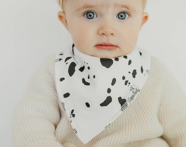 Rufus Single Bandana Bib By Copper Pearl