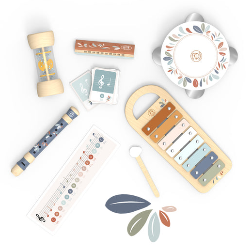 Musical Set 5 Instruments