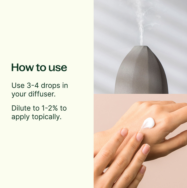 Plant Therapy Essential Oil Lemon