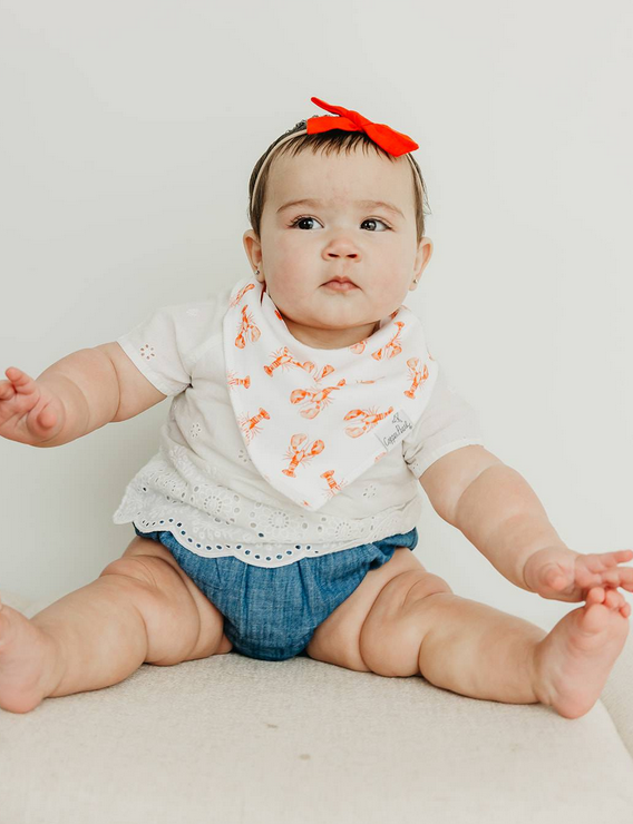 Fischer Bandana Bib Set