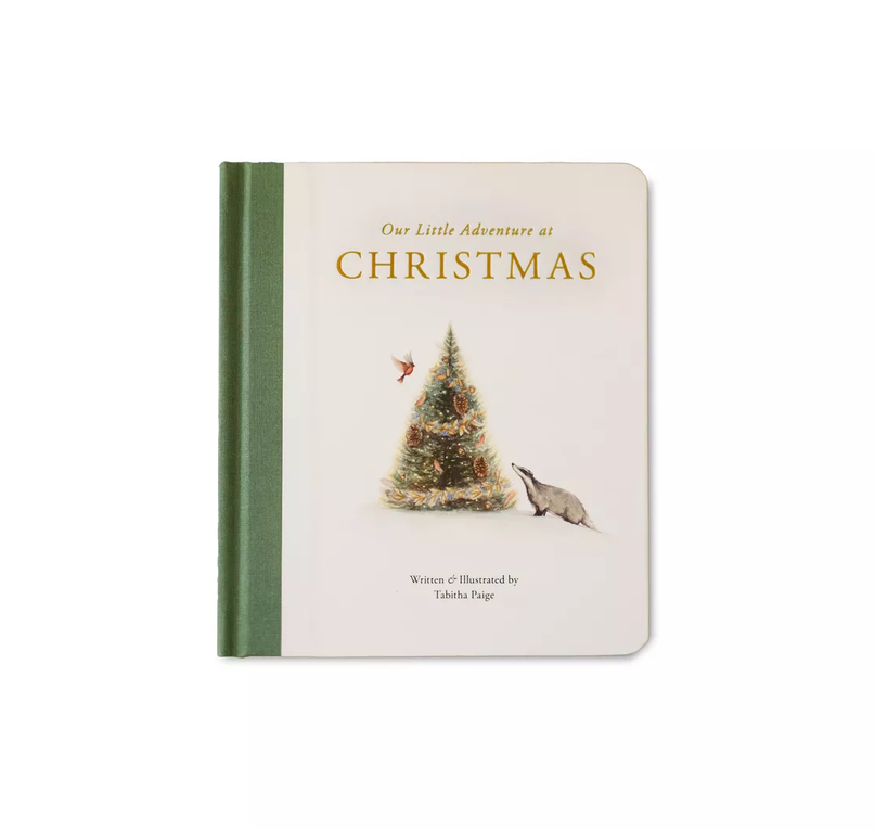 Our Little Adventure at Christmas - Book