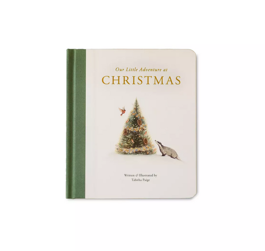 Our Little Adventure at Christmas - Book