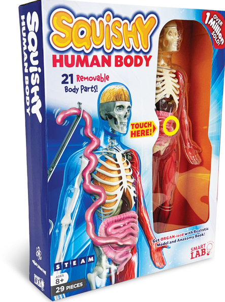 Squishy Human Body