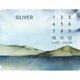 Sugar + Maple Backdrop Blanket | Mountain Milestone with Name