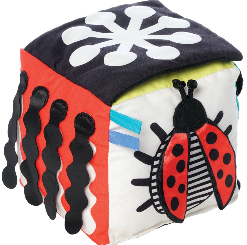 Wimmer Discovery Cube