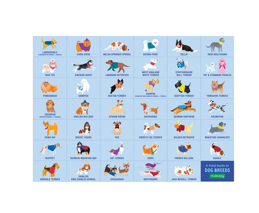 Puzzle 64 Search & Find Doggie Days