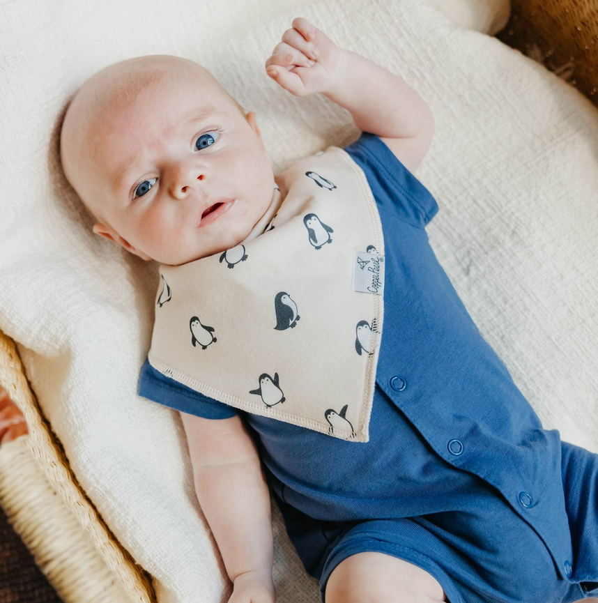 Arctic Wonder Bandana Bib Set