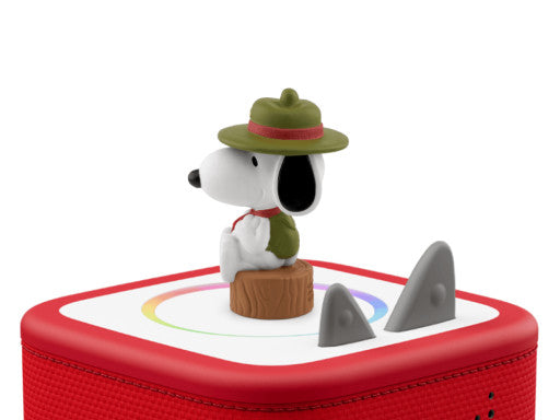 CAMP SNOOPY
