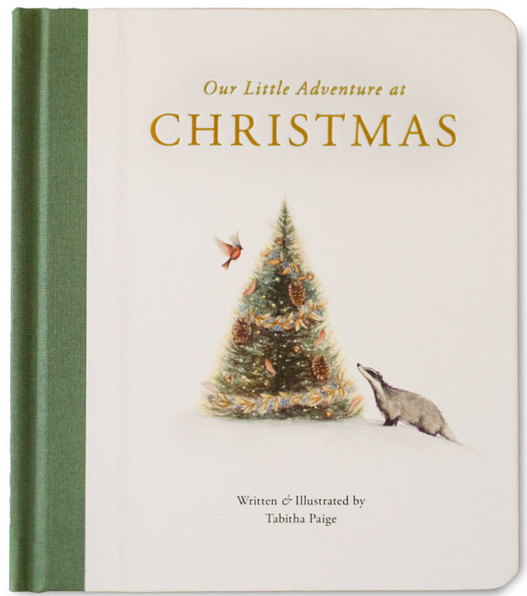 Our Little Adventure at Christmas - Book