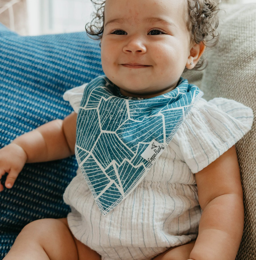 Arctic Wonder Bandana Bib Set