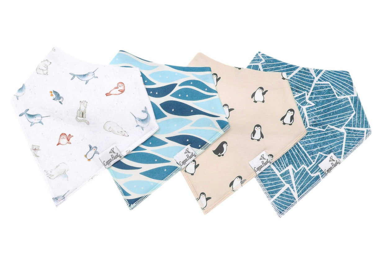 Arctic Wonder Bandana Bib Set