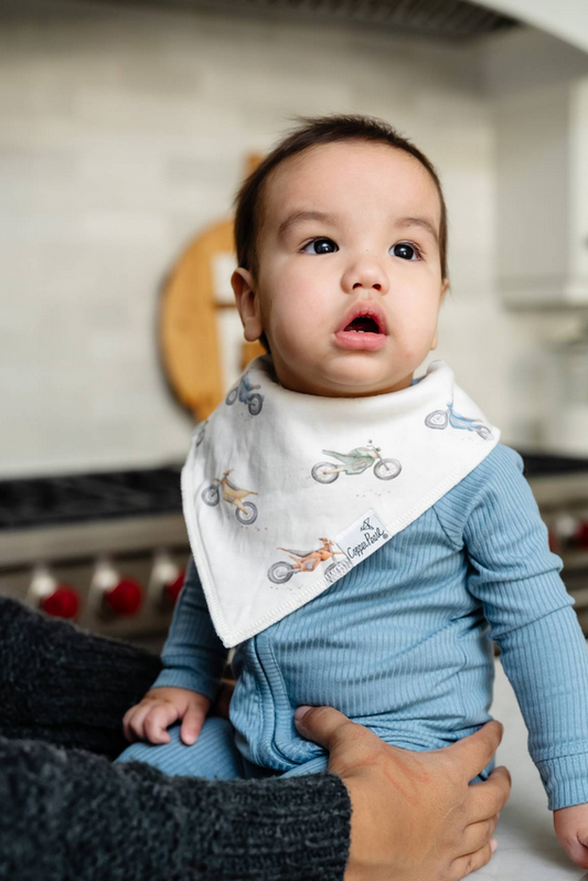 Whimsy Single Bandana Bib By Copper Pearl