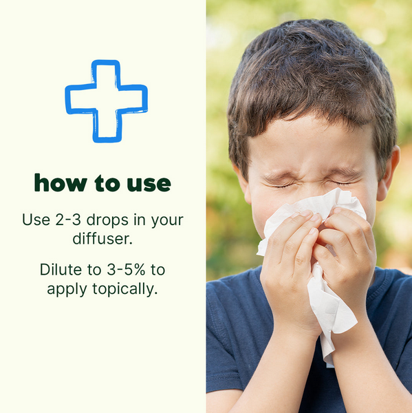 Plant Therapy Essential Oil Sniffle Stopper