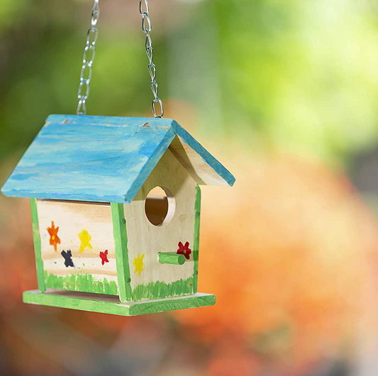 Toysmith Build a Bird House Bungalow Craft Kit (10 Pieces)