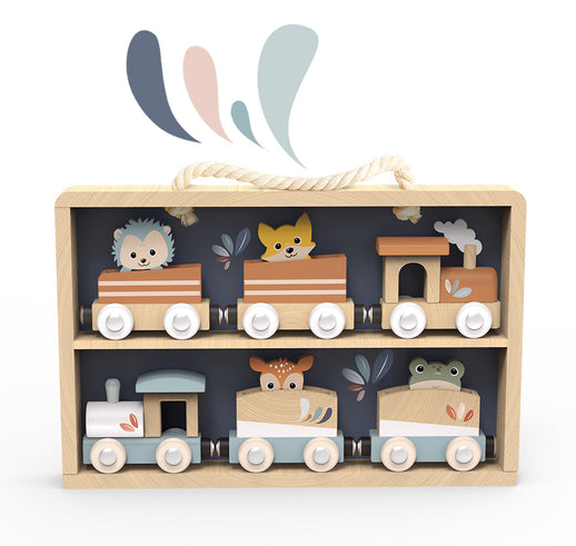 Train Set Display Case