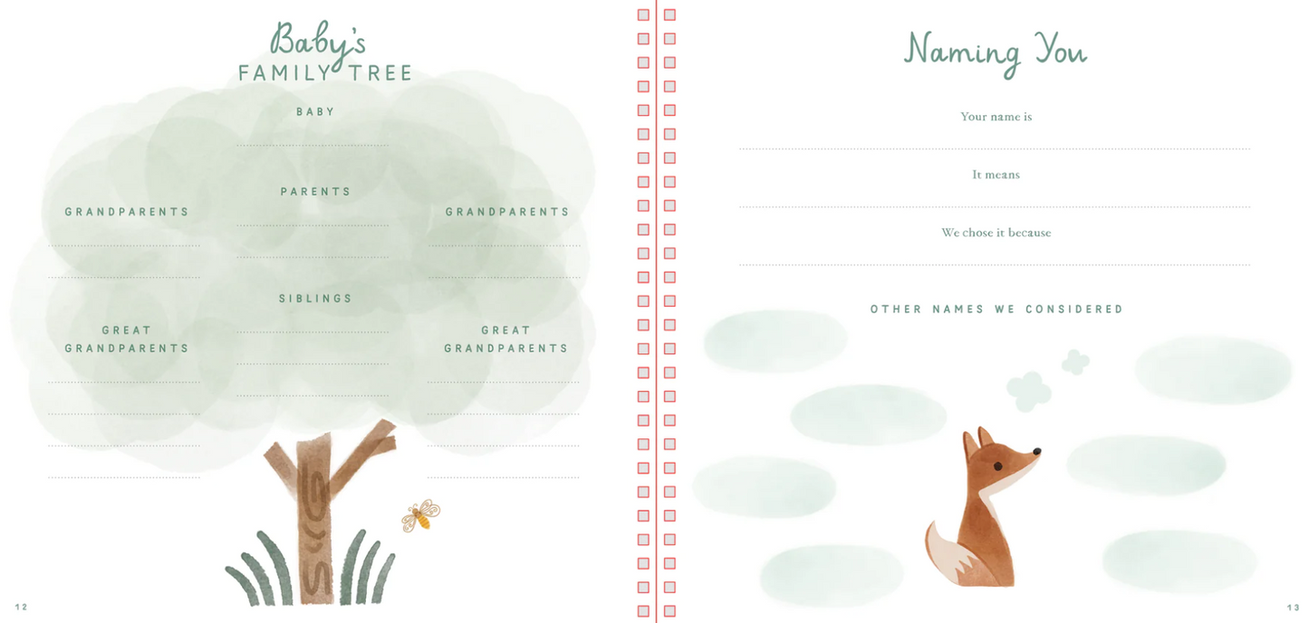 Baby's First Years-A Modern Memory Book with Keepsake Box