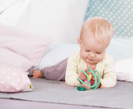 Apple Grab Toy