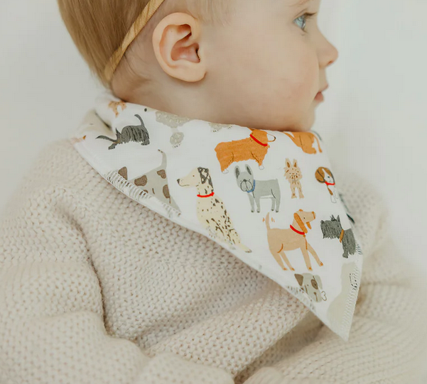 Rufus Single Bandana Bib By Copper Pearl