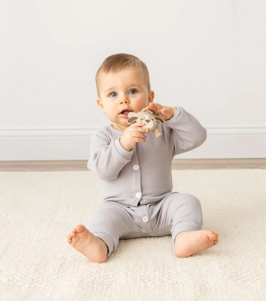 Itzy Ritzy Puppy Molar Teether