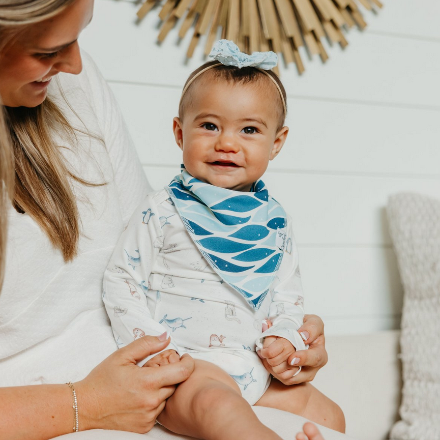 Arctic Wonder Bandana Bib Set