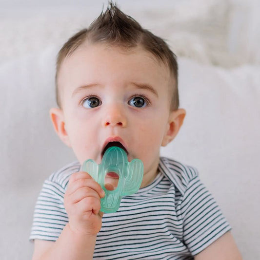 Cutie Coolers -Cactus Water Filled Teethers - 3 pack - Elegant Mommy